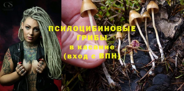 круглые Алексеевка