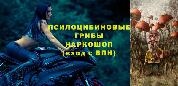 круглые Алексеевка